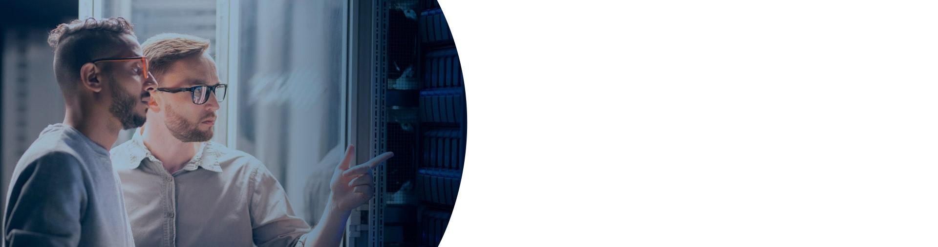 Coubicación Telmex Triara